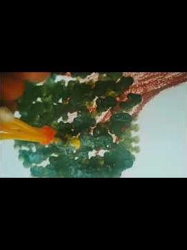 wait till the end🫰🌳Earbud activity #kidsfun #easytodo#learnart#ytshorts #trending #dhurandhar