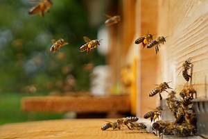 Energy Bureau Service - Data Quality & Portfolio Management