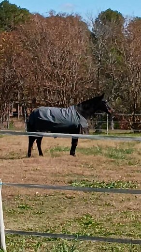 Michelle Renee on Reels | Facebook