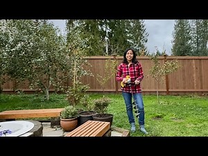 We Planted a Flower Bulb Lawn!