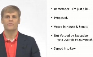 Legislative Branch and the Law