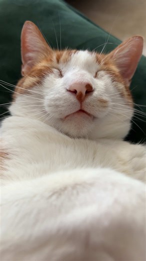 Fun with Hair: Embracing Your Unique Look