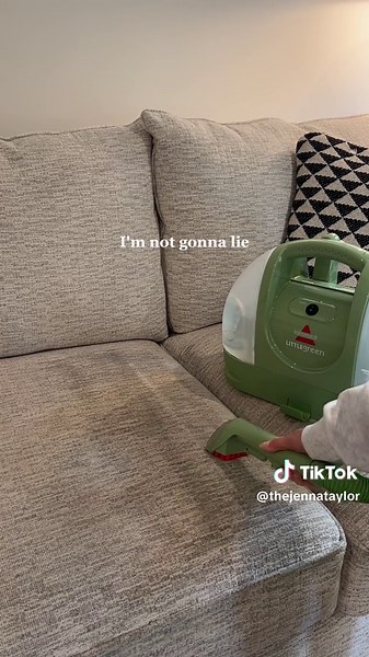 Review of Bissell Little Green Machine for Pet Stains Removal