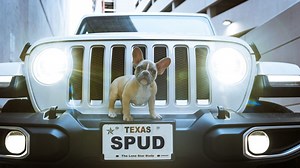 Car Humor From Another Era: Vintage Ads That Would Never Make It Today