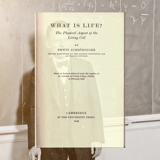 Erwin Schrödinger | In 1944, Schrödinger wrote the book What is Life? Its purpose was to explore how living organisms store and pass on information. It introduced the idea of gametes which he called it “aperiodic crystal”. However, today, he is mostly known for his work in quantum mechanics. Most famous work is the Schrödinger cat | #physics #edit #science #biology #humanity