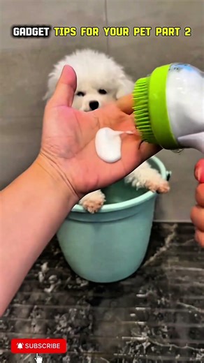 Part 2: Gadget tips for your pets