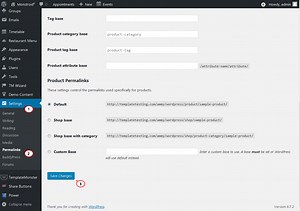 WordPress Blogging themes. How to change custom post type slug - Template Monster Help