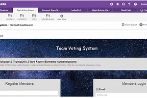 Secured Team Voting System