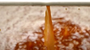 Cider presses have roared to life in Erie