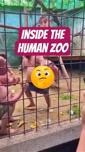 A Man Was Put In A Zoo Cage 😨