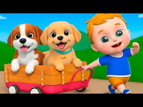 Lola the Baby Bingo song + Wheels On The Bus Go Round And Round | Nursery Rhymes and Kids Songs