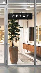 Two visions of Maxima 2.2 take shape inside Cesar’s Miami flagship store, each revealing a distinct approach to material harmony and spatial balance. The first composition embraces a lighter tone. The Maxima 2.2 Shaker doors in Magnolia Matt lacquer are paired with worktops and back panels in Inalco MDi Ananda, creating a seamless, luminous composition. Details in Champagne — from the Shell handles to the Dressup structure with bronze glass shelves and integrated lighting — bring a refined and c