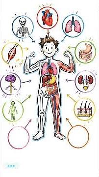 Introduzione al corpo umano - Video di Sinapsi