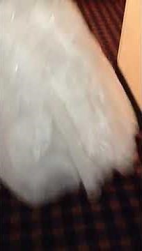 Part 2 drunken bridezilla