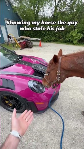 The horse met his competitor 😭
