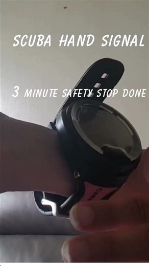 Scuba Hand Signal