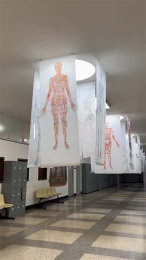 🚨Tenemos inscripciones abiertas para preICFES y preUniversitario calendario A, escríbenos al link que se encuentra en nuestro perfil 📥, empezamos clases en diciembre 📚✨ | Unalpolimatia