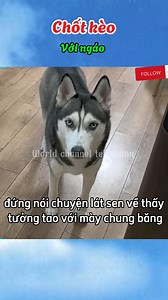 171K views · 6K reactions | Chốt kèo | World Channel Television | Facebook