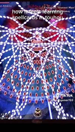 Exploring Touhou Project Gameplay: Tips and Memes