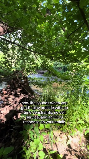 Exploring the Green: Summer Adventures in Connecticut