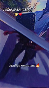 Explore Mauritius' Indigo Bus Route 5 Experience