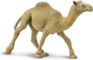 Safari Ltd. Dromedary Camel Figurine - Lifelike, Hand-Painted 5.75" Model Figure - Educational Toy for Boys, Girls & Kids Ages 3+