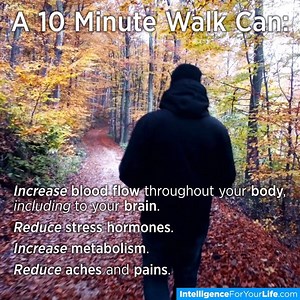 77K views · 1.5K reactions | Here's what a 10 minute WALK can do for you! ....Bring your dog or a friend for added benefits! | John Tesh | Facebook