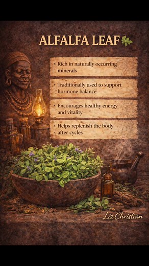 ALFALFA LEAF 🌿 This is that rebuild-your-body-from-the-root energy. Alfalfa leaf has been traditionally used in ancestral herbal practice to support mineral replenishment, hormone nourishment, and steady feminine vitality. When cycles feel off, energy runs low, or the body needs deep nutritional support, this is one of the green medicines the ancestors trusted to restore strength from the inside out. Why alfalfa leaf stays in rotation 👇🏾 • Rich in naturally occurring minerals • Traditionally