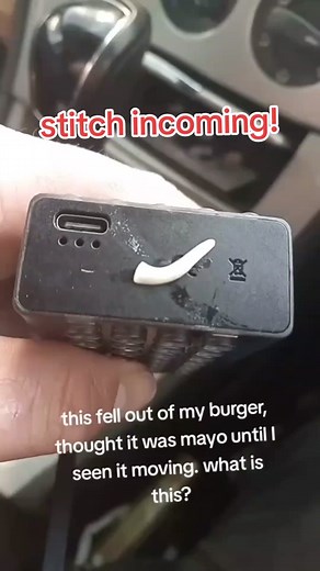 Understanding Flea Tapeworm Proglottids: A Closer Look at Parasites