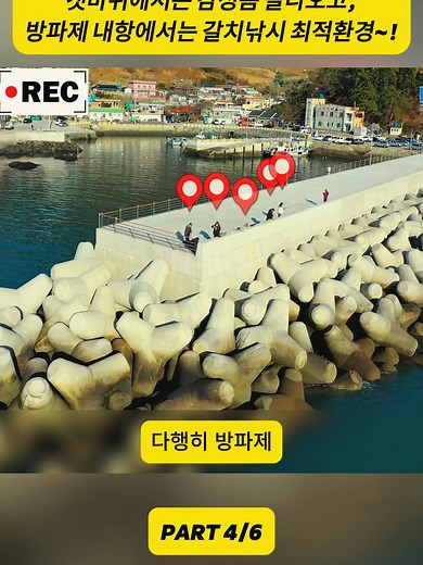 갯바위 감성돔과 방파제 갈치낚시