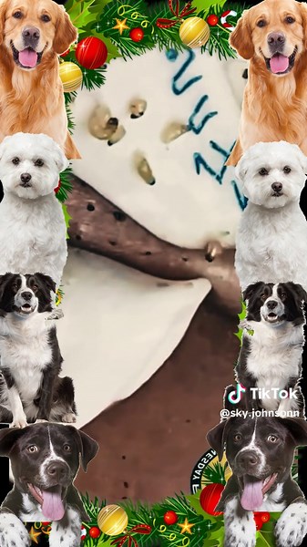 #squeeze #squeezeyuk