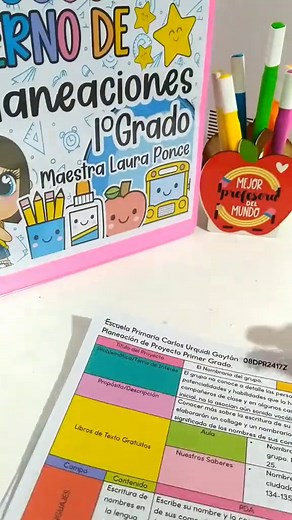 Plan de clases! ¿Quisieras un vídeo más detallado? #primergrado #primergradoprimaria #proyectosnem #planeacionporproyectos #plandeclases #soymaestra #maestradeprimergrado #maestratiktoker #maestra #fypシ゚viral #destacame