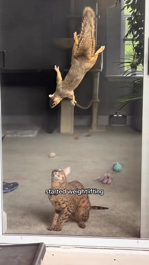 My wild cat bit me today 😭 | November