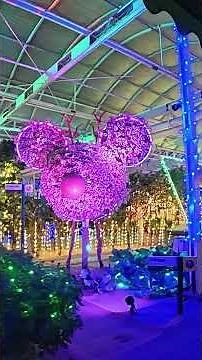 Holiday Glow at EPCOT | Riding Living with the Land After Dark #shorts #disney #disneyworld