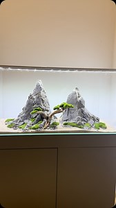 New Mountain Aquascape for aquarium 90x45x45cm. #aquascape #aquascaping #aquarium #mountainaquascape #mountainlovers #akwarium | Ancient Stone