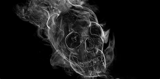 Scientists Found a Sea Creature That Cheats Death. Is This the Key to Human Immortality?