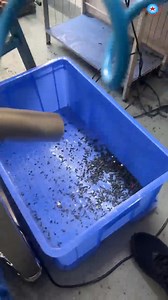 Vertical free-fall type plastic granule metal separator with vibrating feeding component It automatically separates out any metal contaminants detected in the product, and the vibrating feeding component prevents material blockage. For more details,please contact: WhatsApp/WeChat/Tel： 86 18575993435 E-mail：amy@chaoqiang1688.com | GuangDong Chaoqiang Electronic Technology Co., Ltd.