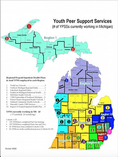 Youth Peer Support - ACMH