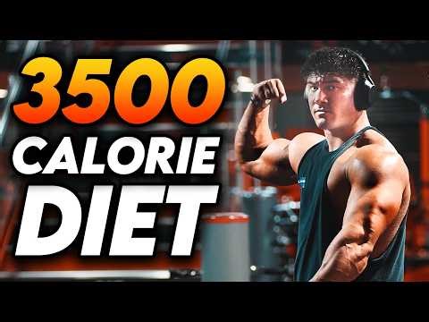 18 INCH ARM DAY & FULL DAY OF EATING