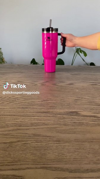 That moment when the @stanleybrand Spring Fling collection launches and you need to get one in every color.