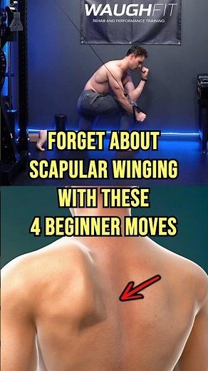 4 Beginner Exercises For Scapular Winging