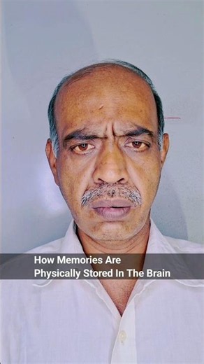 How Memories Are Physically Stored In The Brain