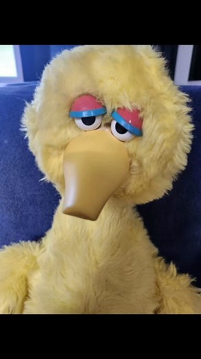 Big Bird from Sesame Street will share a story with you. They sell toys, We sell Memories✨️ "Vintage Toys and Talking Clock Shop" 20 years serving precious memories to valued customers. Https://www.ebay.com/str/gift4collector  | Jim Reinhold | Facebook