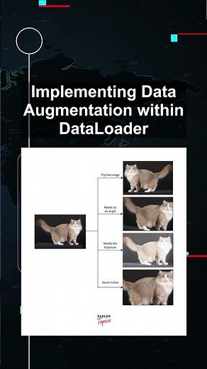 Implementing Data Augmentation within DataLoader #ai #artificialintelligence #machinelearning