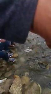 2.6K views · 45 reactions | Beautiful veiw of mansar lake samba Jammu Plz support nd follow my page | Aawaz e kashmir | Facebook