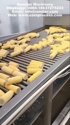 Automatic Vacuum Packed Sweet Corn Making Machine