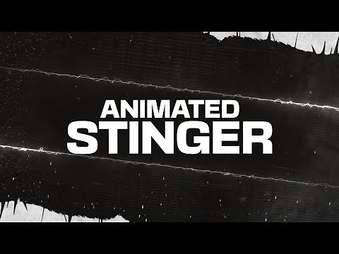Animated Black & White OBS Stinger Transition Overlay for Twitch Streamers