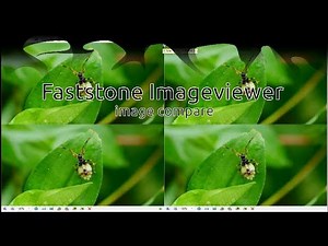 무료 이미지 뷰어 - Faststone Imager viewer compare (이미지 비교기능)