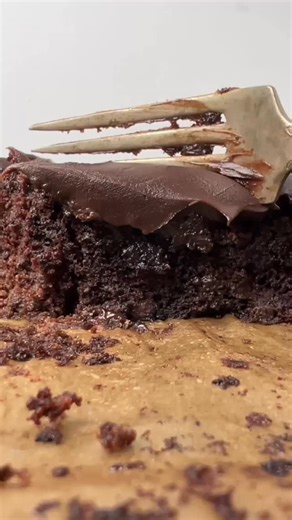 Julie Clark | Tastes of Lizzy T on Instagram: "This crazy cake is just too easy. No eggs, milk or butter, but as you can see it is still rich and fudgy chocolate cake. It makes in a small 8x8 pan and you mix the batter in the pan too! No extra dishes to wash here. Comment CAKE and I’ll send you this vintage cake recipe! https://www.tastesoflizzyt.com/crazy-cake/"