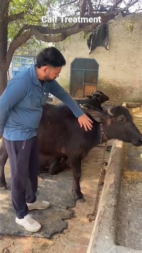 😯🤯 Injection - One Shot Ese Lgate hai #trendingshorts